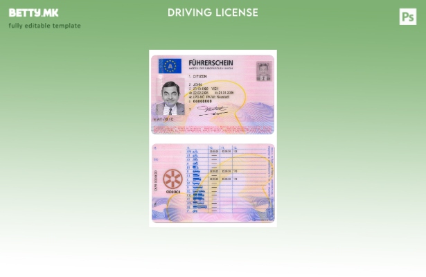 Модерен стил австриска возачка дозвола присутен шаблон